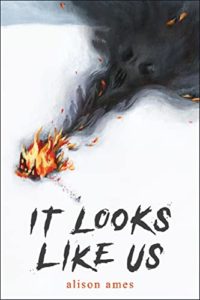 It Looks Like Us by Alison Ames